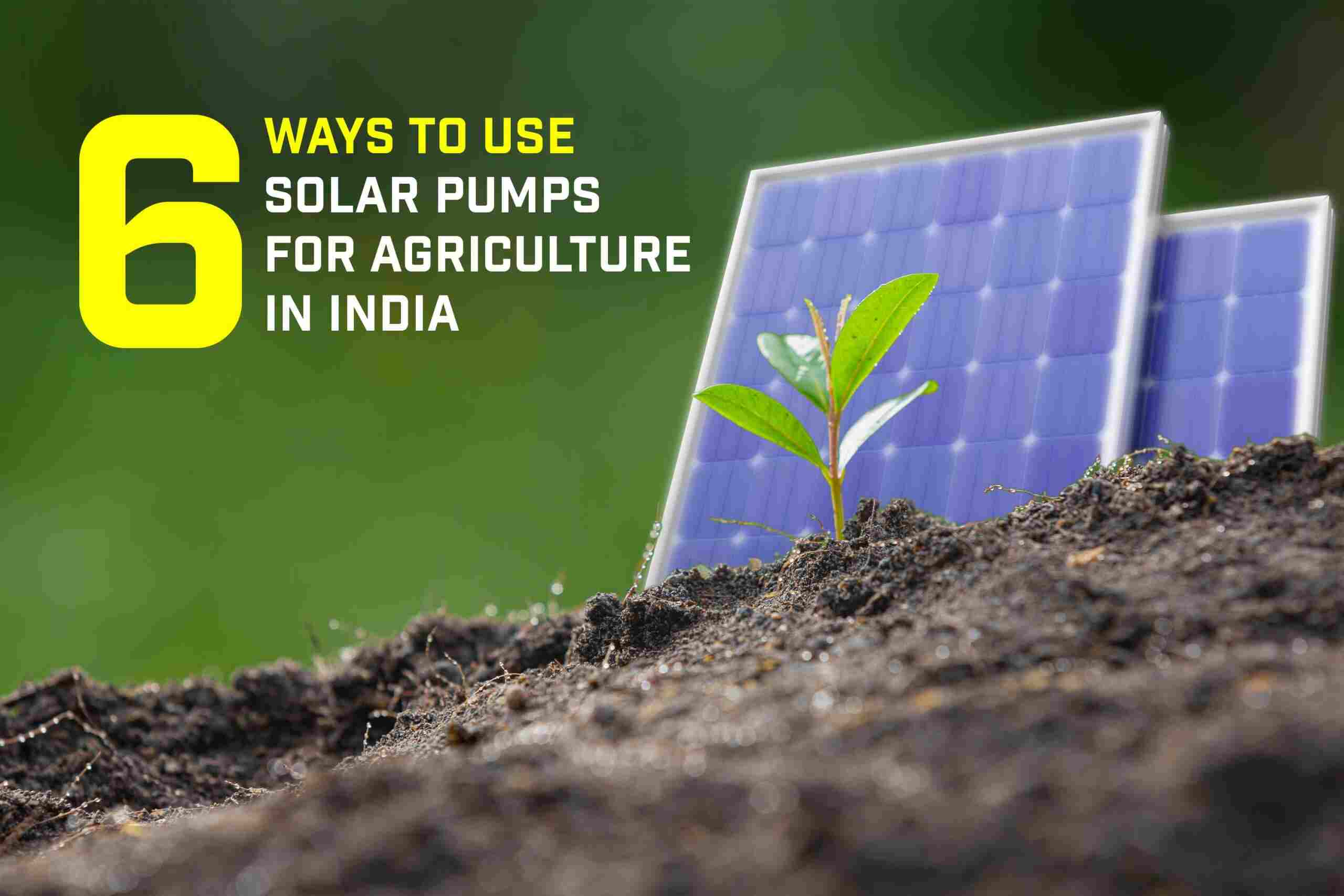  6 Ways to Use Solar Pumps for Agriculture in India