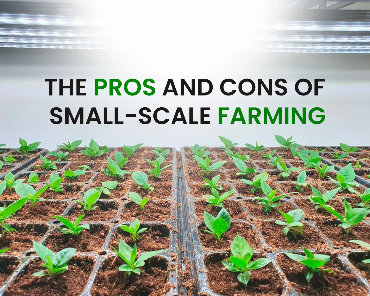 Small-Scale Farming