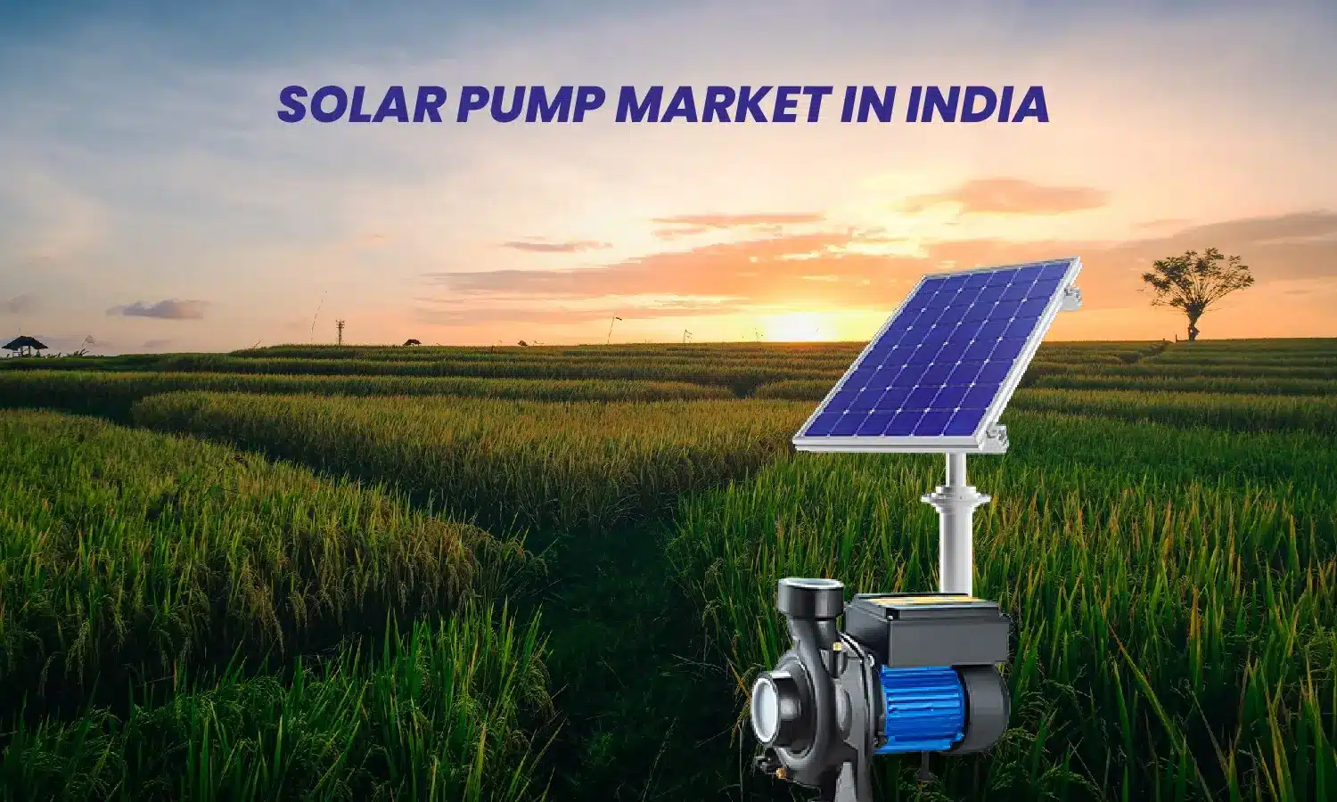 SOLAR PUMP MARKET IN INDIA