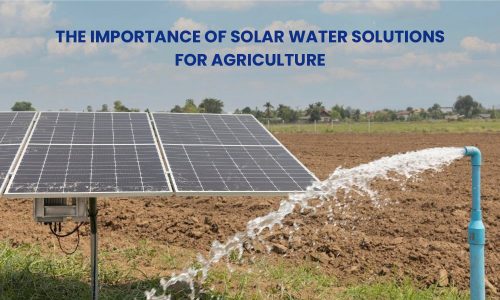 Solar Water Solutions for Agriculture