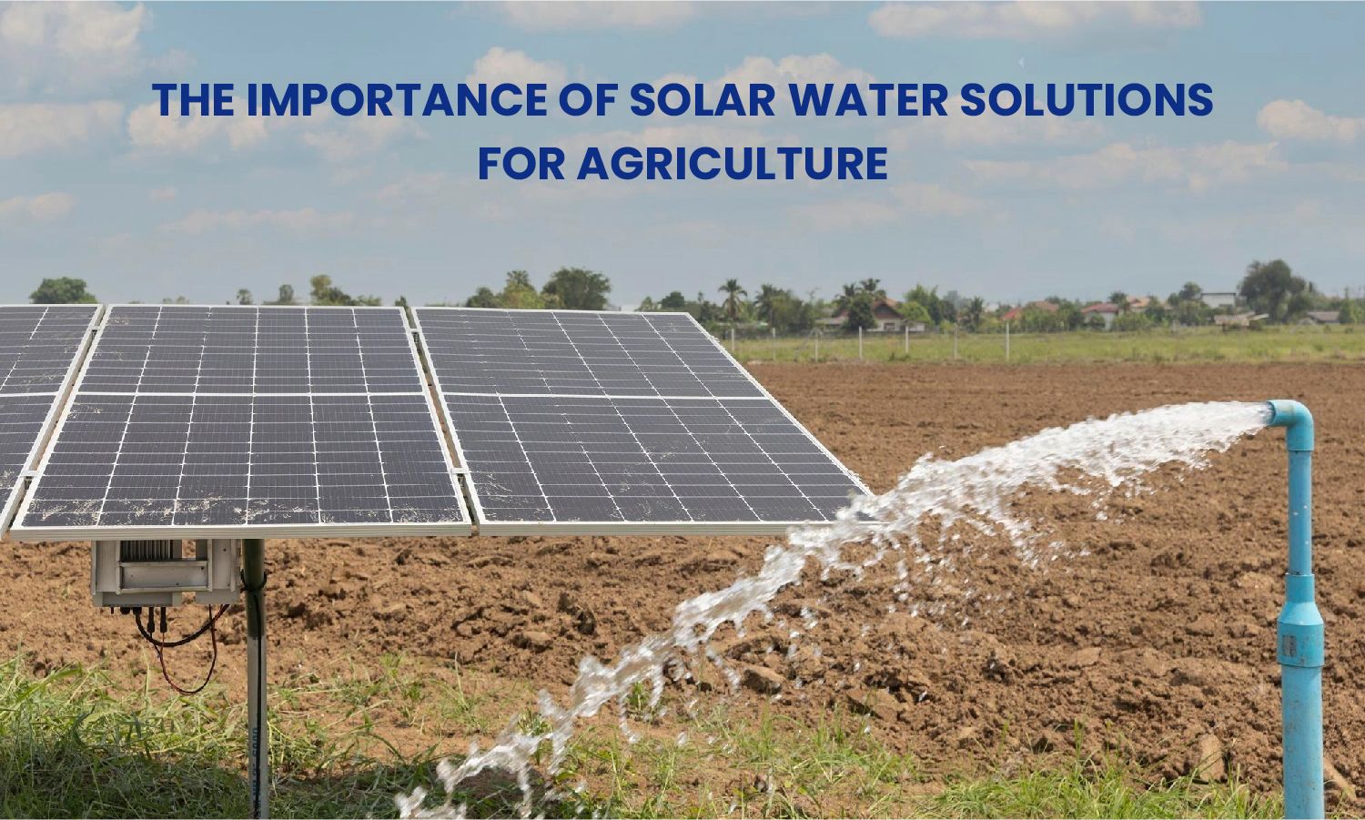 The Benefits of Solar Water Solutions for Agriculture