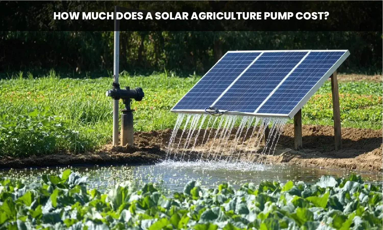 Solar Agriculture Pump Cost