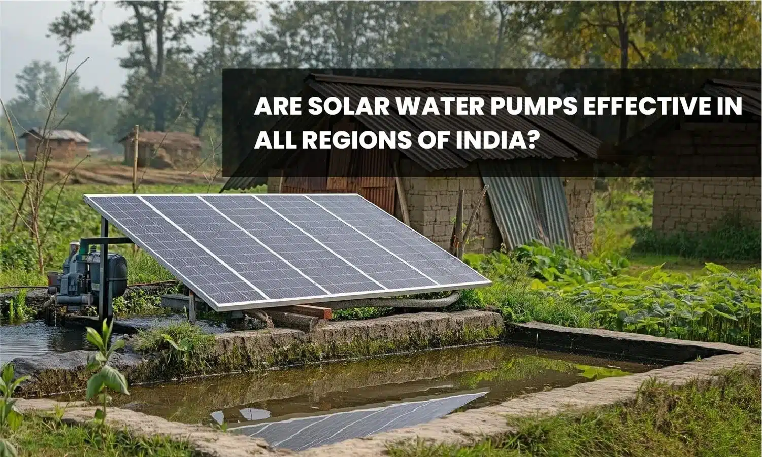 Are Solar Water Pumps Effective